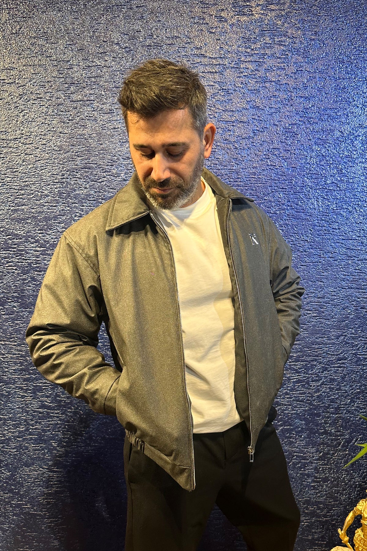 Toronto Gri Desenli Fermuarlı Bomber Mont